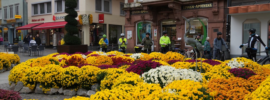 Alsace velo hiver.jpg